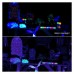 Blacklight party set - 200W UV 365nm